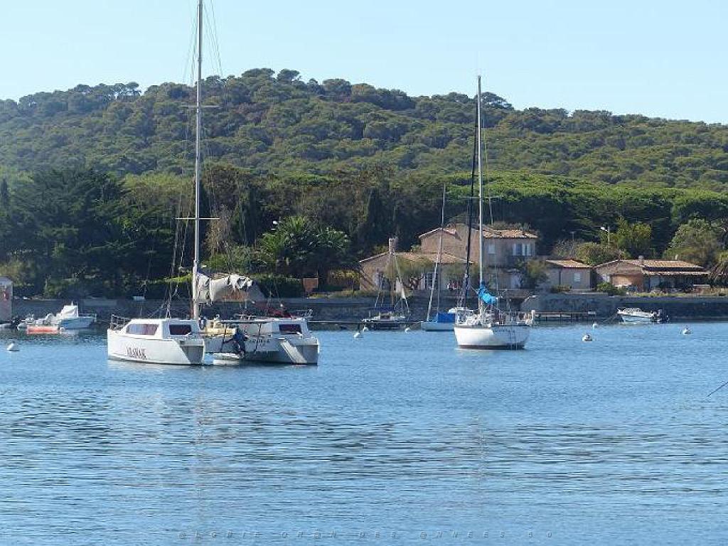 183 ILE DE PORQUEROLLES -3_000044.jpg